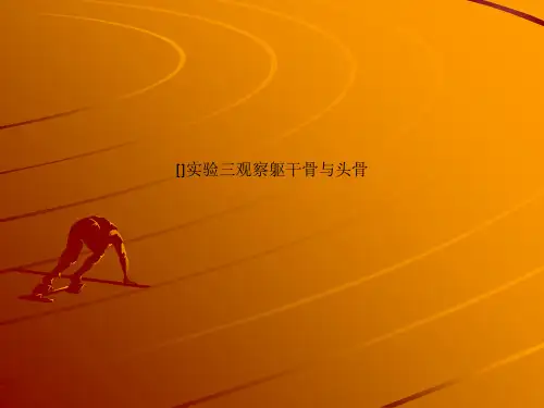 []实验三观察躯干骨与头骨