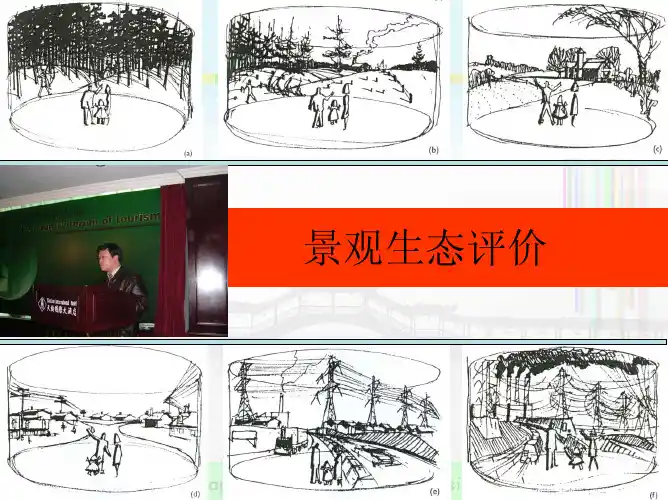 4景观生态评价：适宜性与相容度