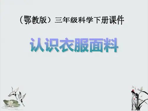 《认识衣服面料》PPT课件2