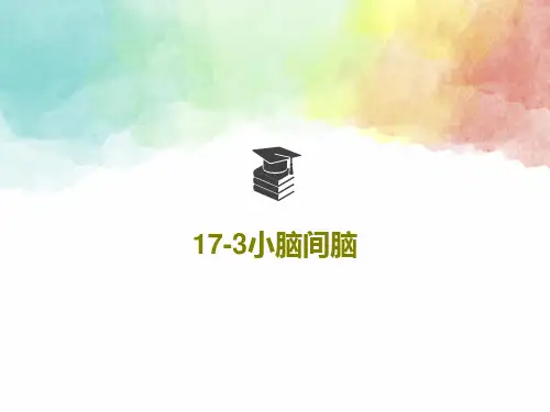 17-3小脑间脑35页PPT