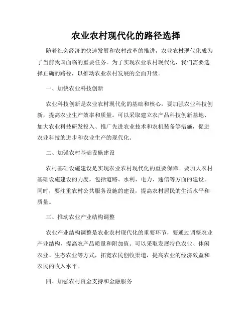 农业农村现代化的路径选择