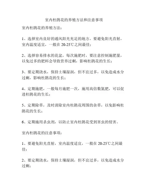 室内杜鹃花的养殖方法和注意事项