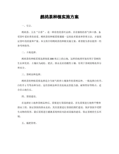 鹧鸪茶种植实施方案