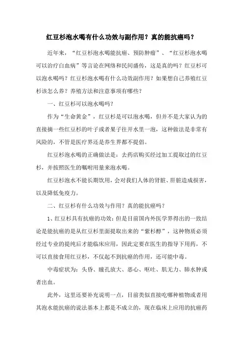 红豆杉泡水喝有什么功效与副作用？真的能抗癌吗？