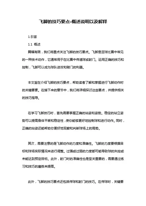 飞脚的技巧要点-概述说明以及解释