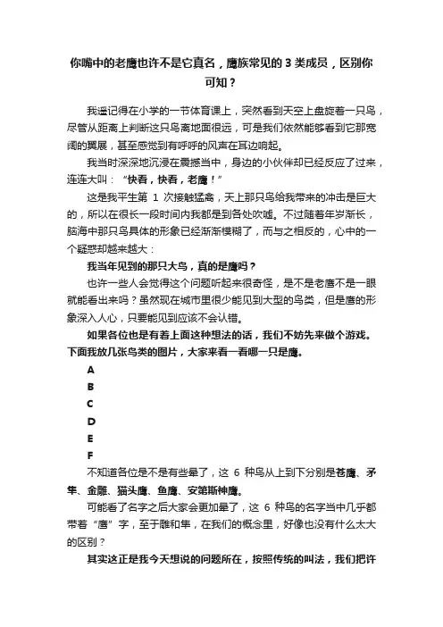 你嘴中的老鹰也许不是它真名，鹰族常见的3类成员，区别你可知？