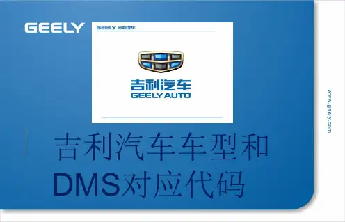 吉利汽车车型与DMS对应代码