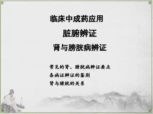 临床中成药应用：脏腑辨证——肾与膀胱