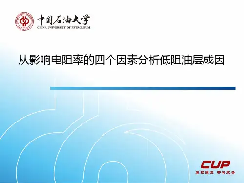 从影响电阻率的四个因素分析低阻油层的成因