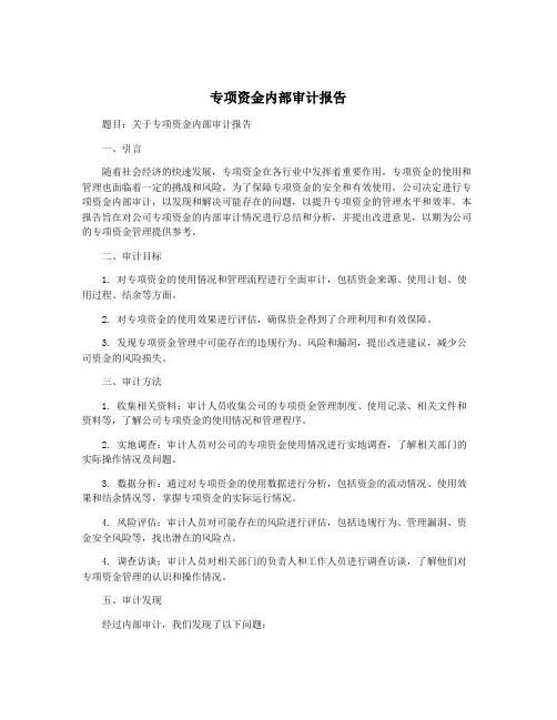 专项资金内部审计报告