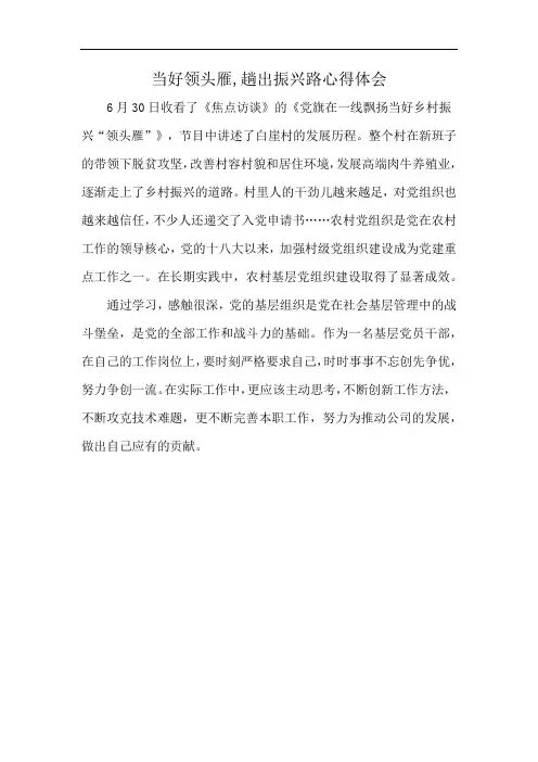 当好领头雁,趟出振兴路心得体会