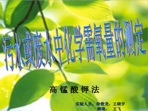 污水或废水中化学需氧量的测定DOC