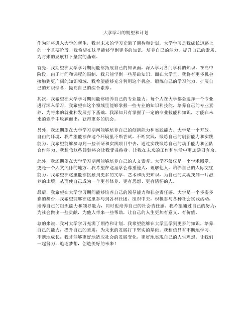 大学学习的期望和计划
