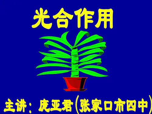 初一生物《光合作用》ppt课件