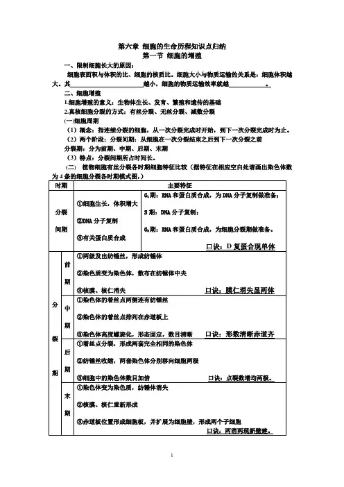 细胞的生命历程 知识点