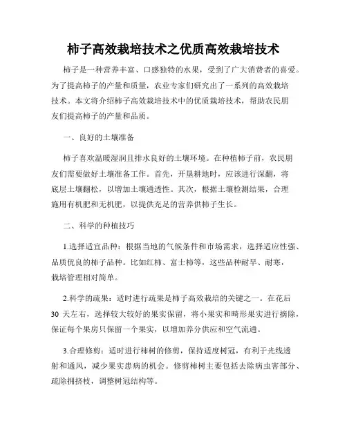 柿子高效栽培技术之优质高效栽培技术