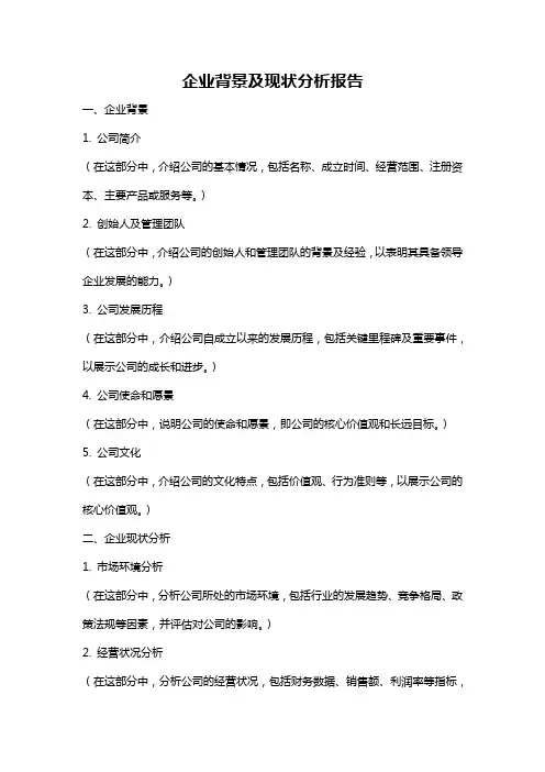 企业背景及现状分析报告