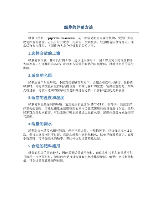 绿萝的养殖方法