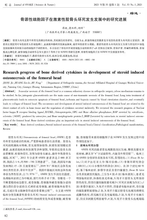 骨源性细胞因子在激素性股骨头坏死发生发展中的研究进展