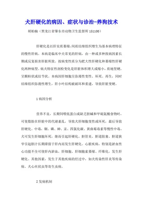 犬肝硬化的病因、症状与诊治 - 养狗技术