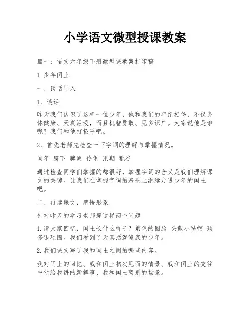 小学语文微型授课教案