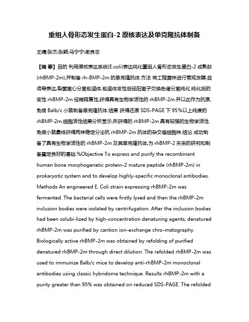 重组人骨形态发生蛋白-2原核表达及单克隆抗体制备