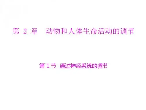人教版高中生物必修三2.1《通过神经系统的调节》课件(共55张PPT)
