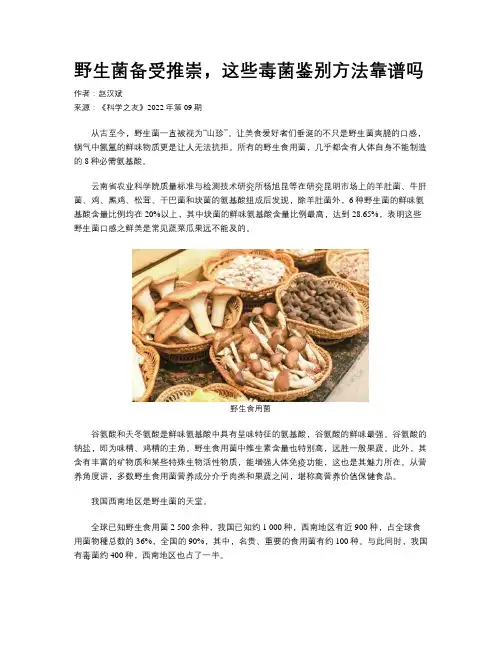 野生菌备受推崇，这些毒菌鉴别方法靠谱吗