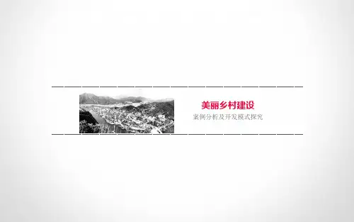 美丽乡村案例分析及开发模式