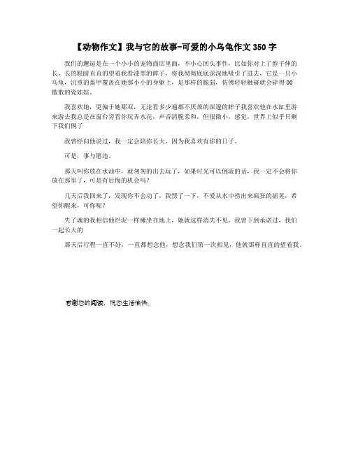 【动物作文】我与它的故事-可爱的小乌龟作文350字