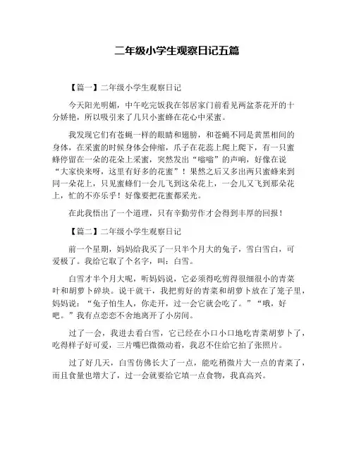 二年级小学生观察日记五篇