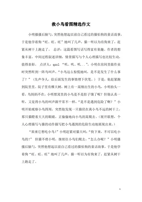 救小鸟看图精选作文