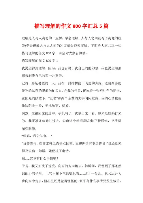 描写理解的作文800字汇总5篇