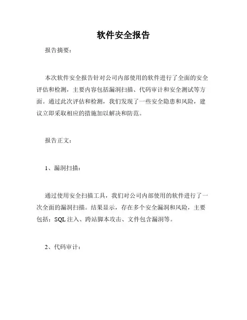 软件安全报告