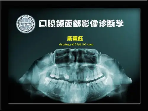 口腔全景解剖课件