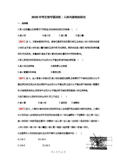 2020中考生物专题训练：人体内废物的排出(带解析)