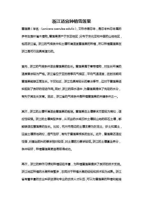 浙江适宜种植雪莲果