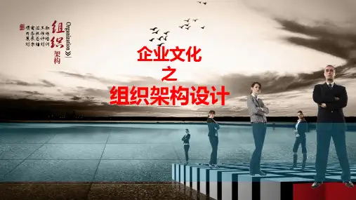 企业文化组织架构设计 ppt课件