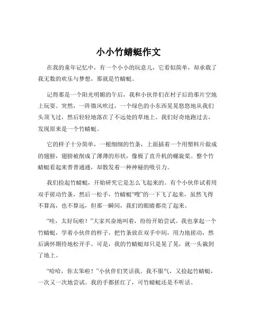 小小竹蜻蜓作文
