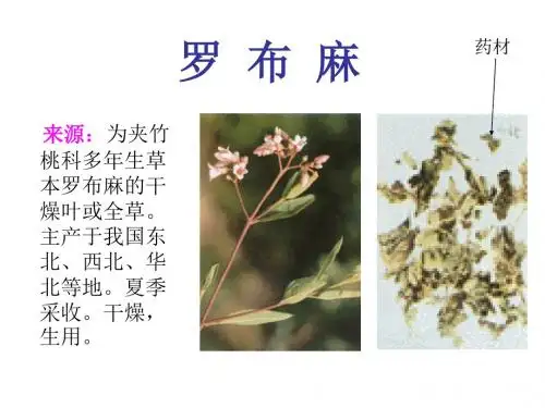 第十五章平肝熄风药02