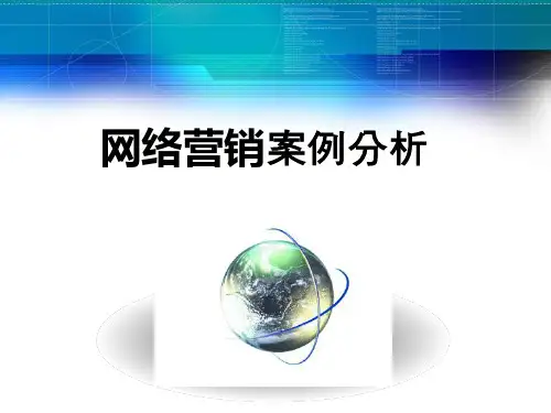 网络营销案例分析PPT模板
