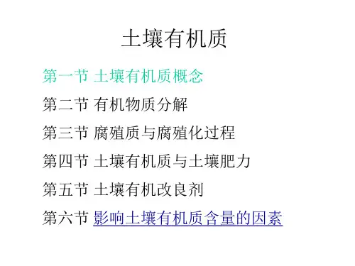土壤有机质与碳循环ppt