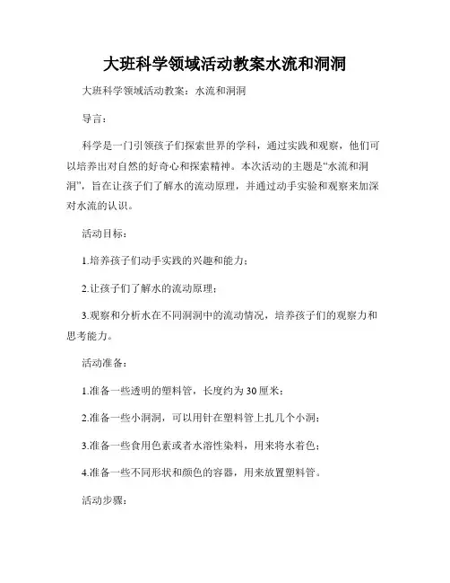 大班科学领域活动教案水流和洞洞
