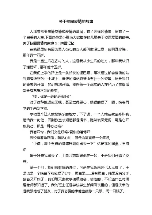 关于校园爱情的故事