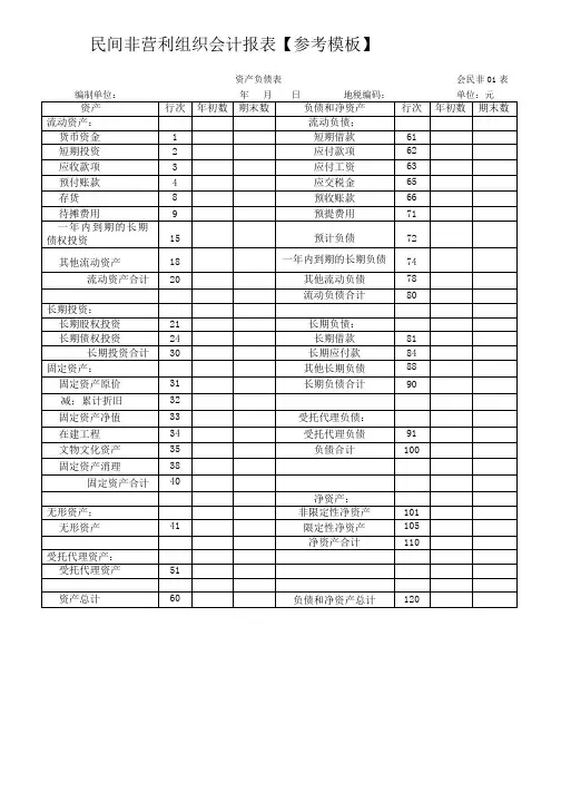 民间非营利组织会计报表【参考模板】