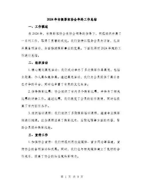 2024年市摄影家协会年终工作总结(3篇)