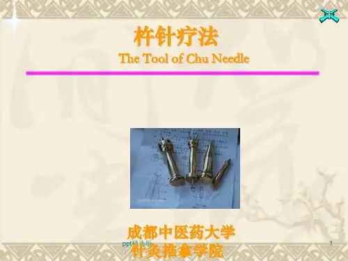 杵针疗法ppt课件