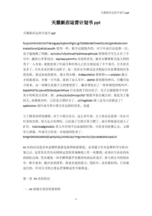 其它-天猫新店运营计划书ppt