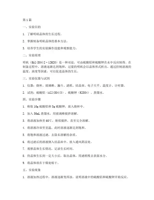 制作明矾的实验报告(3篇)