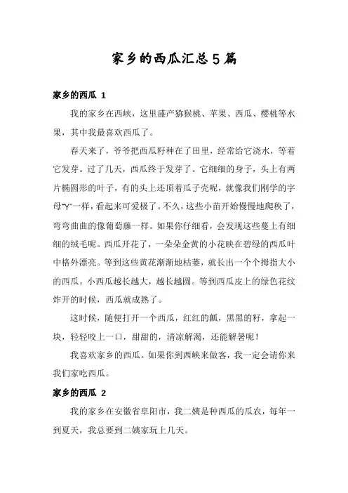 家乡的西瓜汇总5篇